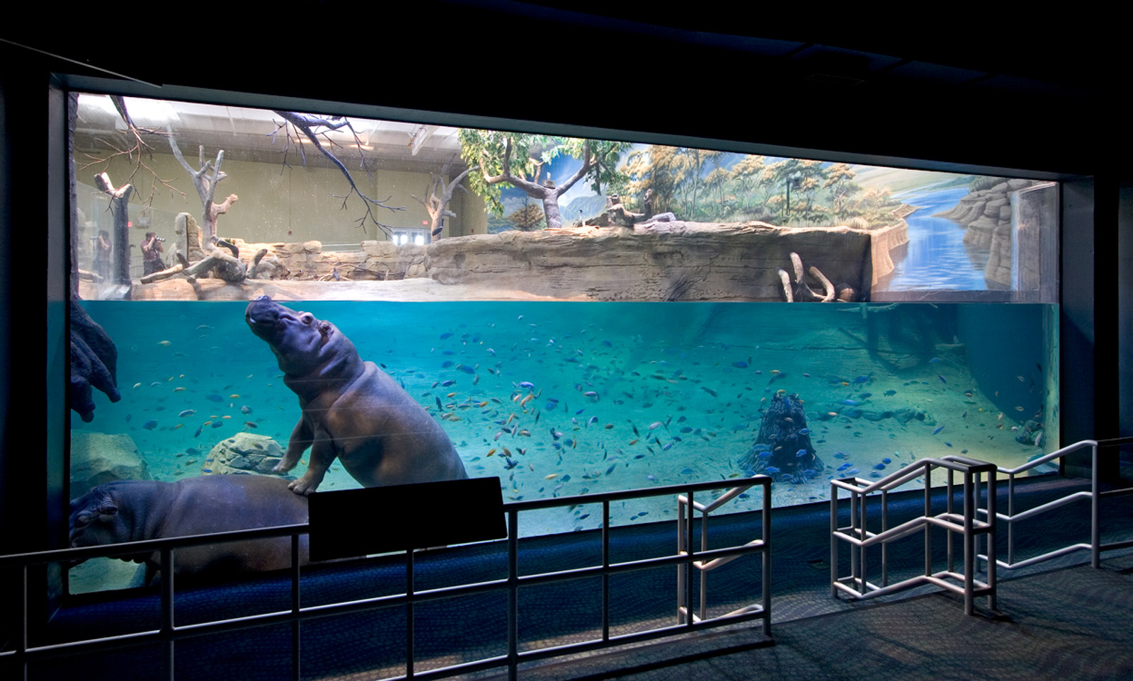 New Jersey State Aquarium - 050523 3 Lorez